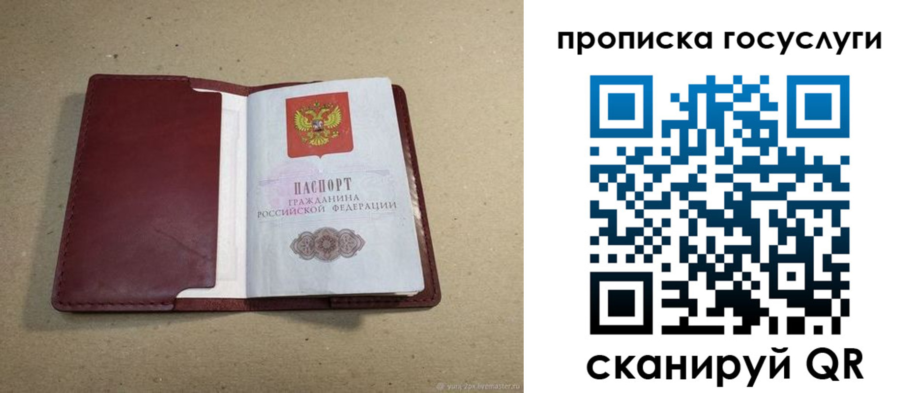 прописка поиск в Канске